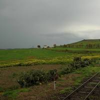 Collector profile picture : Adolfo Ripollés [carrilet]