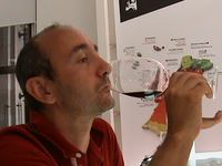 プロフィール画像 ： stefanotoma