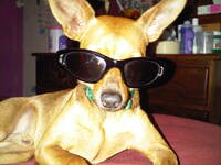 收藏者头像 ： Raiza Rivero [raimar25]