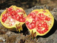 תמונת פרופיל אספן : : Maciek