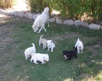 收藏者头像 ： Gerardo Vázquez Méndez [gvazmen]