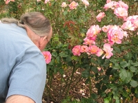 收藏者头像 ： ： Ryk Rostron [ryko1948]