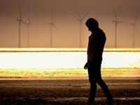 收藏者头像 ： ： alexis84