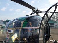 Collector profile picture : Anshuman Singh [ansh2luv]
