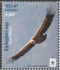 プロフィール画像 ： Ante Tadic [madcoolstamps]