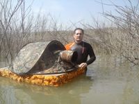 收藏者头像 ： ： Alfonso Roldán [califa]