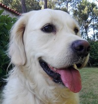 slika profila zbiratelja : Miguel Marques [MigMarq]