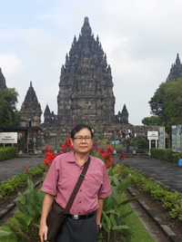 Collector profile picture : Henryanto Surja Suseno [hanhess]