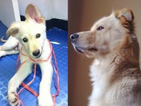 Φωτογραφία του προφίλ του συλλέκτη : : : Mauricio Ibañez [Atiq2014]