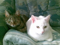 收藏者头像 ： Jens Sielaff [intaglio]