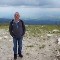 收藏者头像 ： ： Greyhead