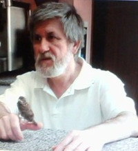 收藏者头像 ： ： Marcos Donaire Bote [MARCOSDONA]