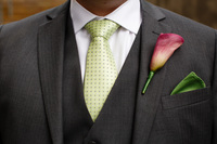 Collector profile picture : James Fenton [Jimi78]