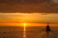 收藏者头像 ： ： sayd89