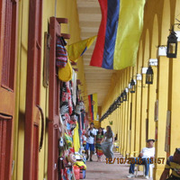 收藏者头像 ： Dario Alejandro Gonzalez C. [dalgo]