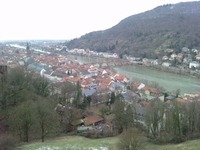 收藏者头像 ： ： greco1