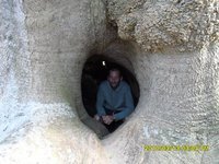 收藏者头像 ： Luis Groposo [Luis]