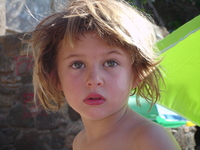 Profilbild des Sammlers : Luigi Leonardi [scarabeo5]