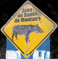 Collector profile picture : Tim Martens [elJUNGLA]