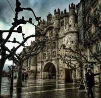 Gambar profil kolektor : : : : Ruben Gonzalez [rubengonzalez]