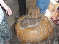 Gyűjtő fényképe: : Xomka2607