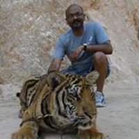 收藏者头像 ： pramodka