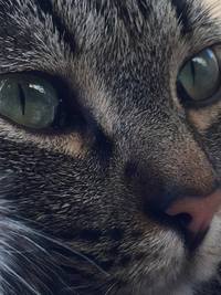 Collector profile picture : Michele Giubertoni [mikki65]