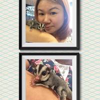 Gambar profil kolektor : : : : Irene Ang [bbfrenz0988]