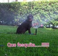 收藏者头像 ： volpito