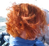 Collector profile picture : Ljuba Brown [Zamppa]