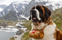 收藏者头像 ： ： Miklós Bolyos [Miki007]