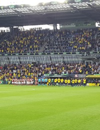 收藏者头像 ： ： Tafanoide