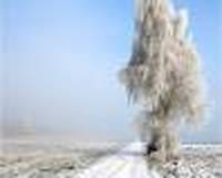 Φωτογραφία του προφίλ του συλλέκτη : : : Пётр Будило [Konstantinych]