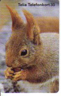 收藏者头像 ： ： krli7481