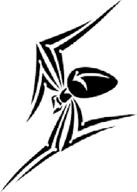 foto do seu perfil de Colecionador : mspajder