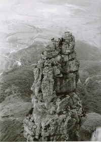 Gambar profil kolektor : : : : amania