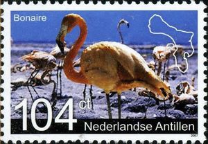 American Flamingo (Phoenicopterus ruber), Map of Bonaire