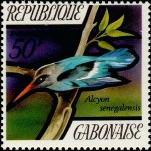 Woodland Kingfisher (Halcyon senegalensis)