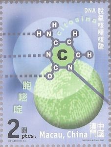 DNA Nucleobase - Cytosine