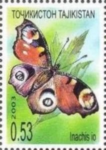 European Peacock Butterfly (Inachis io)