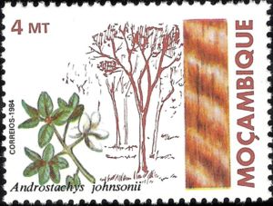 Stamp: Lebombo Ironwood (Androstachys johnsonii) (Mozambique(Trees in ...