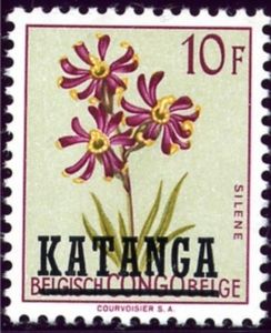 Silene burchellii overprinted KATANGA