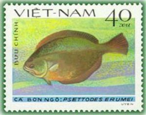 Stamp: Indian Halibut (Psettodes erumei) (Vietnam(Fish - Soles ...