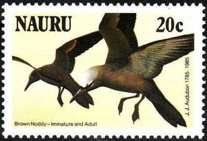 Brown Noddy (Anous stolidus)