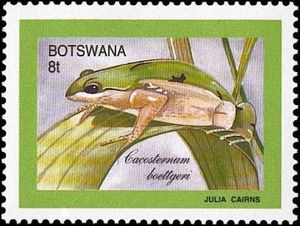 Stamp Boettger's Metal Frog (Cacosternum boettgeri) (Botswana(Frogs