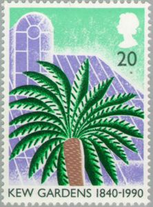 Cycad and Sir Joseph Banks Building