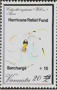 Calanthe triplicata surcharged