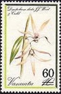 Dendrobium sladei surcharged