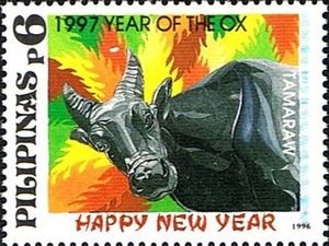 Tamaraw (Bubalus mindorensis)