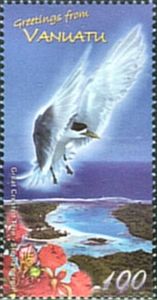 Great Crested Tern (Sterna bergii)